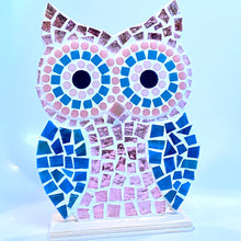 Load image into Gallery viewer, DIY Mosaic Owl Decor Kit

